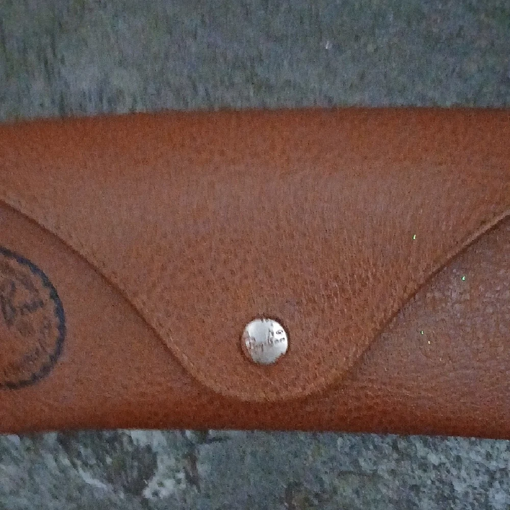 Ray-Ban Brown Kids Glasses Case